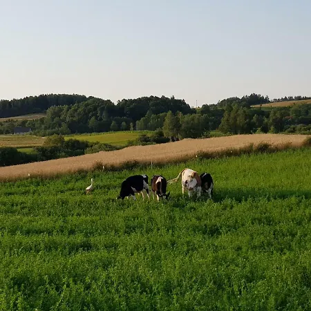 Nad Sunowem House Apartament Chrzanowo